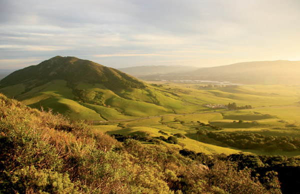 Scenic green rolling hills and valley landscape under soft warm light